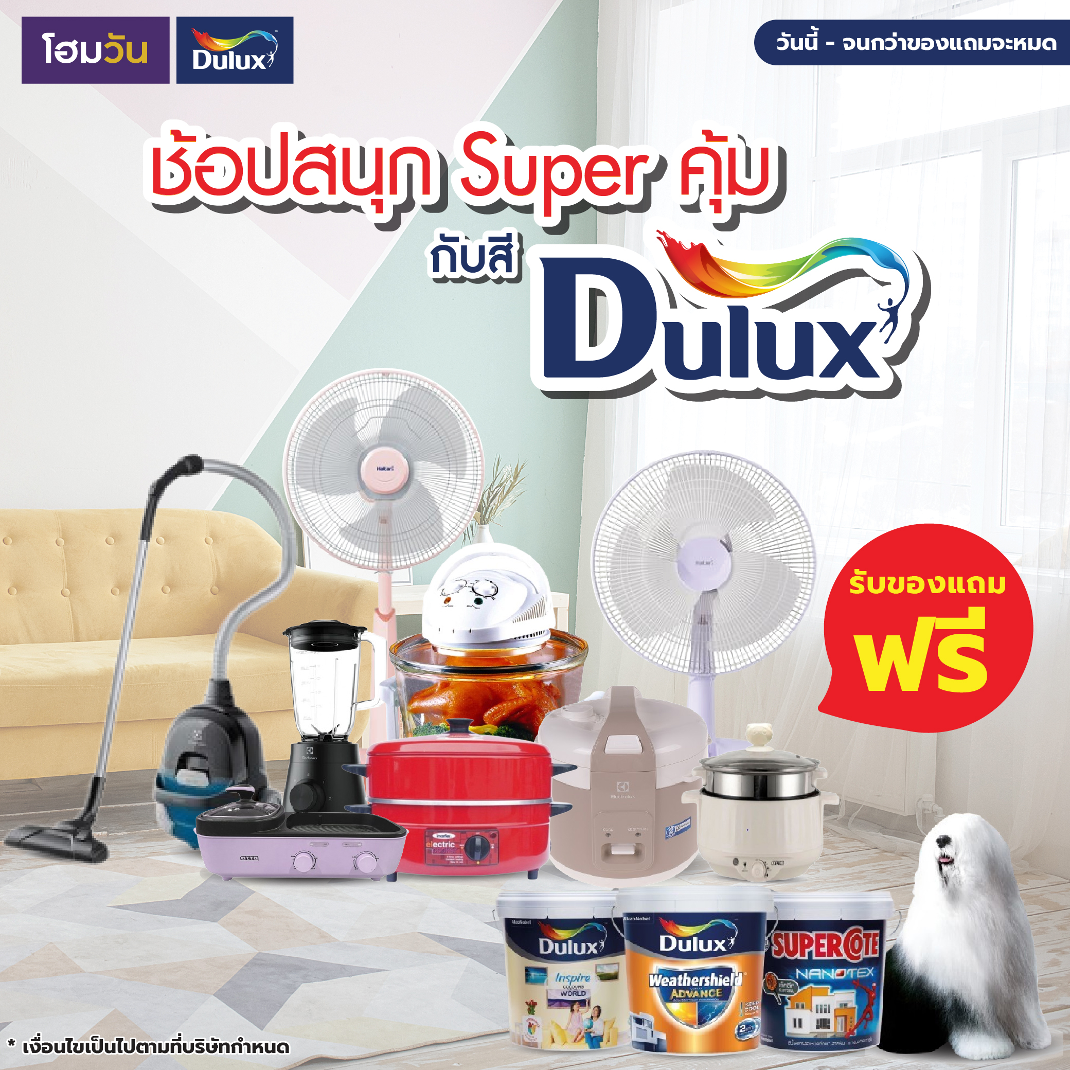 ช้อปสนุก SUPER คุ้มกับสี DULUX